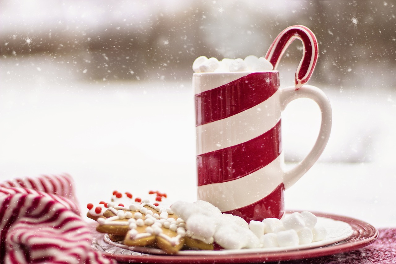 cocoa, nature, hot chocolate-1908020.jpg